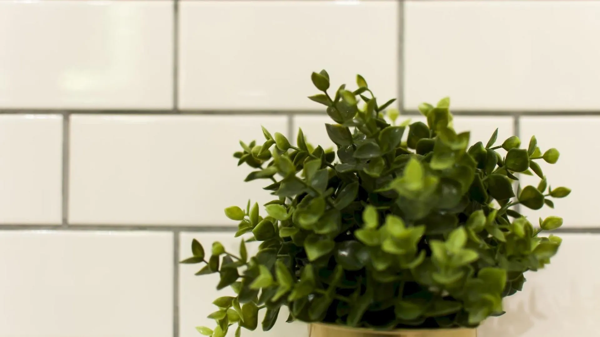 Casa Pilar Central By Myrentalhost Barcelona Appartement